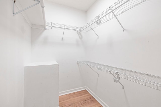 walk in closet with light wood-style flooring
