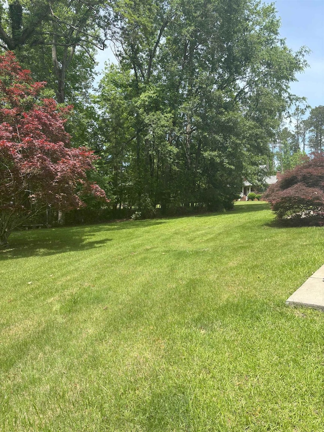 view of grassy yard