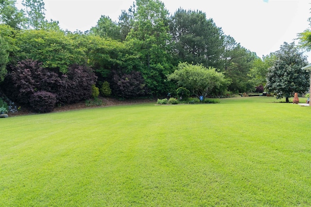 view of green lawn with view of scattered trees