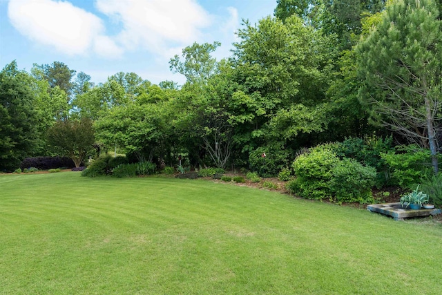view of grassy yard