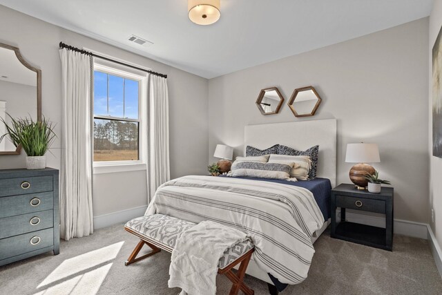 1200 N Pinot, Duncan, SC 29334 - bedroom with carpet flooring and baseboards