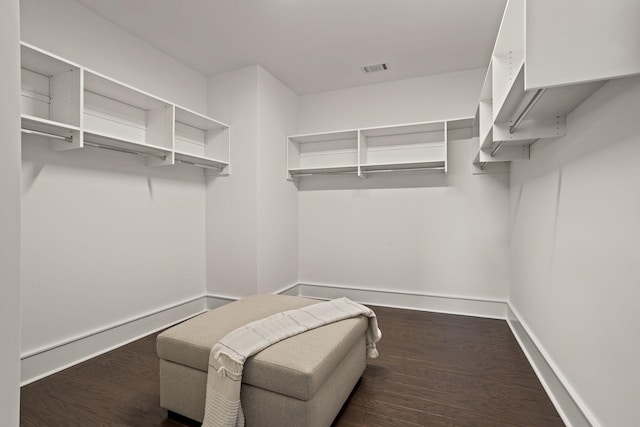 1200 N Pinot, Duncan, SC 29334 - spacious closet with dark wood-type flooring