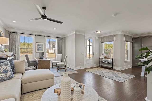 1200 N Pinot, Duncan, SC 29334 - living area featuring crown molding, plenty of natural light, baseboards, ceiling fan, and recessed lighting