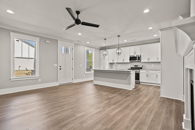 1208 N Pinot, Duncan, SC 20334 - kitchen featuring stainless steel appliances, ornamental molding, a sink, a ceiling fan, and recessed lighting