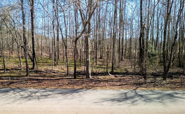 00 Broken Arrow, Pelzer SC, 29669 land for sale