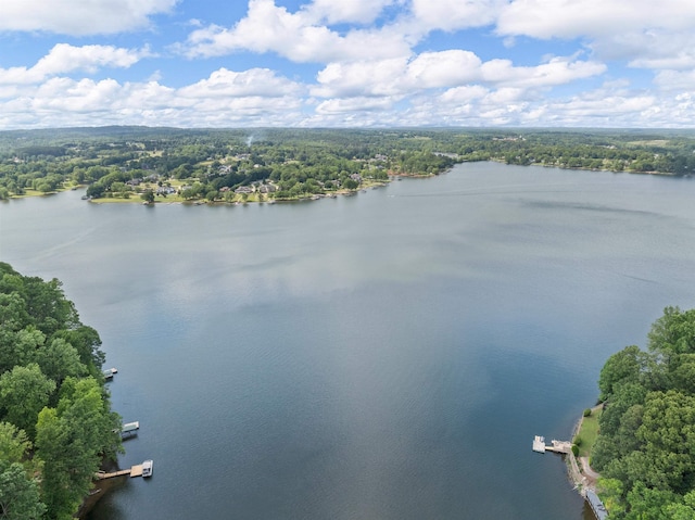 702 Lakewinds, Inman, SC 29349 - aerial view of a nearby body of water and a forest