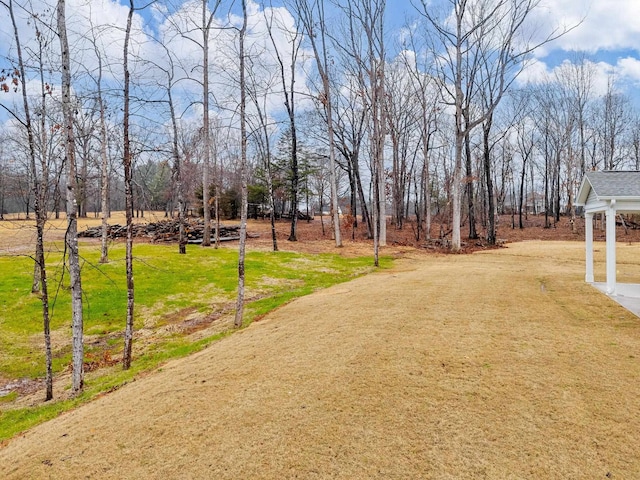 view of community featuring a yard
