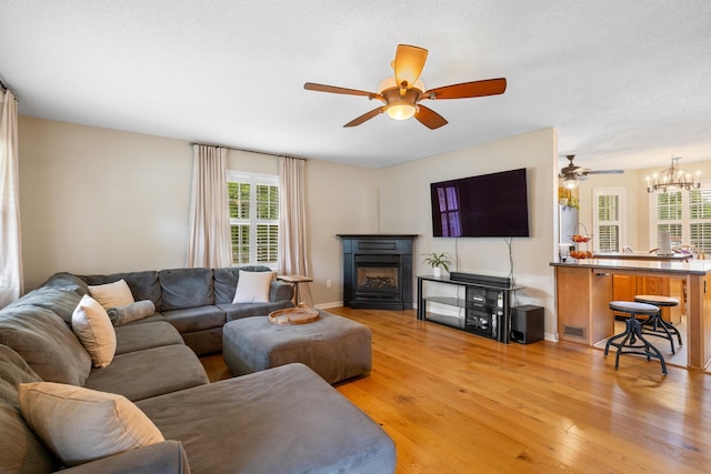 living room featuring ceiling fan, light wood finished floors, and healthy amount of natural light