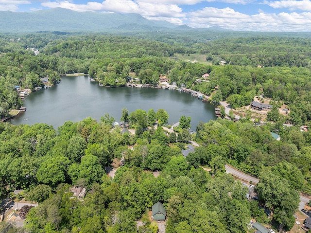 18 Lennox, Landrum, SC 29356 - bird's eye view of a forest and a water and mountain view