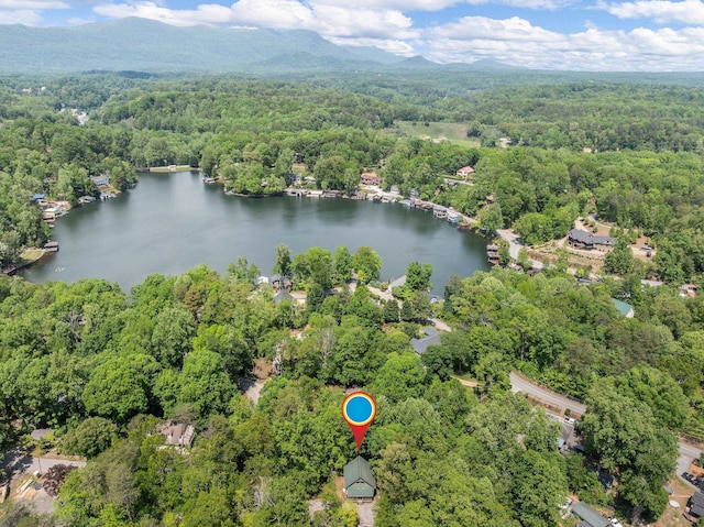 18 Lennox, Landrum, SC 29356 - drone / aerial view of a heavily wooded area and a water and mountain view