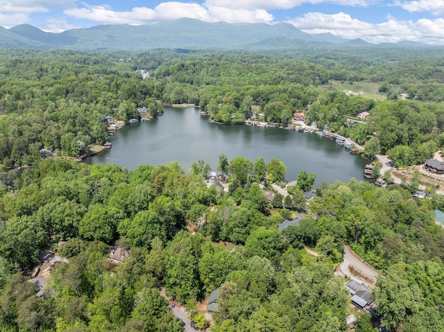 18 Lennox, Landrum, SC 29356 - aerial view of a forest and a water and mountain view