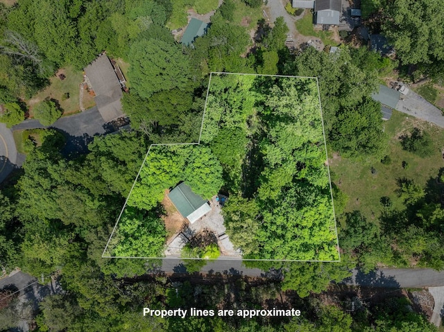 18 Lennox, Landrum, SC 29356 - view of property location with property boundaries highlighted