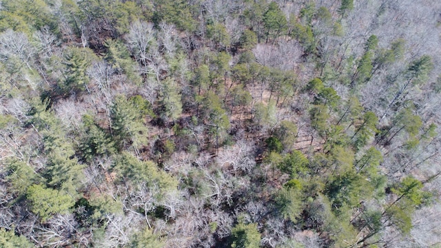 00 Big Level, Mill Spring, NC 28756