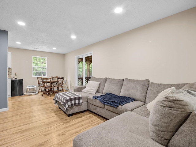 250 E Blackstock, Enoree, SC 29335 - living room featuring light wood-type flooring and recessed lighting