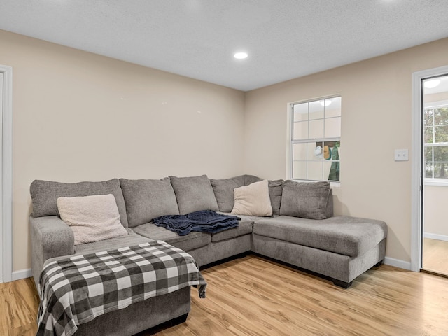 250 E Blackstock, Enoree, SC 29335 - living area featuring light wood finished floors, baseboards, and recessed lighting