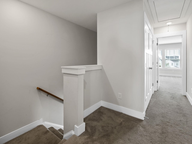 421 Hazelcote, Greenville, SC 29617 - hallway with an upstairs landing, attic access, carpet floors, and baseboards