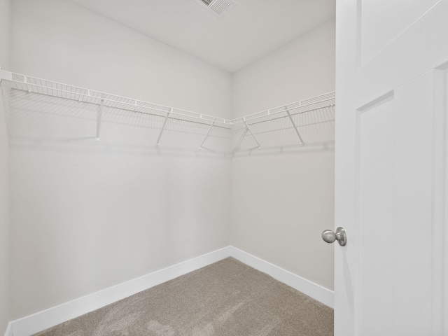 421 Hazelcote, Greenville, SC 29617 - walk in closet featuring carpet flooring