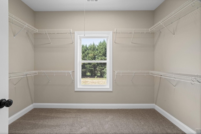 21 Old, American, Pendleton, SC 29670 - walk in closet featuring carpet