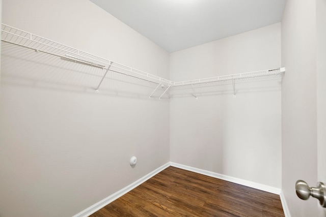 325 Victory, Moore, SC 29369 - walk in closet featuring dark wood-style floors