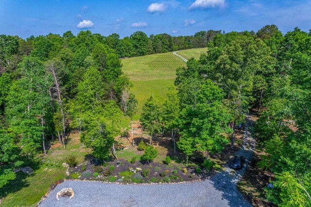 drone / aerial view of a forest