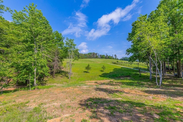 view of yard with fence and a rural view