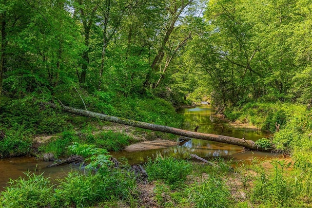 view of nature