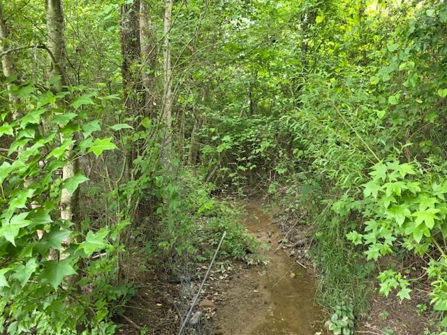 473 Meadow Rd, Inman, SC 29349 - view of local wilderness