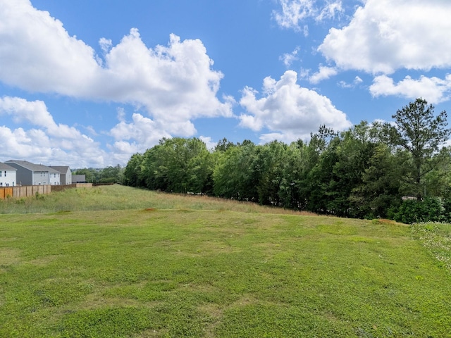 7007 Manse, Boiling Springs, SC 29316 - view of yard