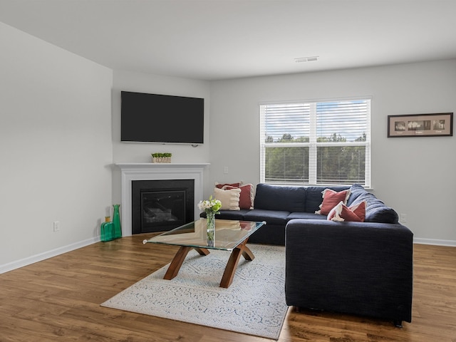 7007 Manse, Boiling Springs, SC 29316 - living area with wood finished floors, baseboards, and a glass covered fireplace