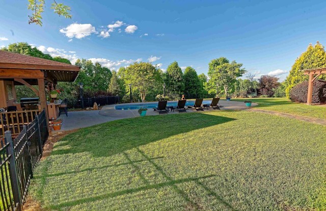 view of yard featuring a patio area