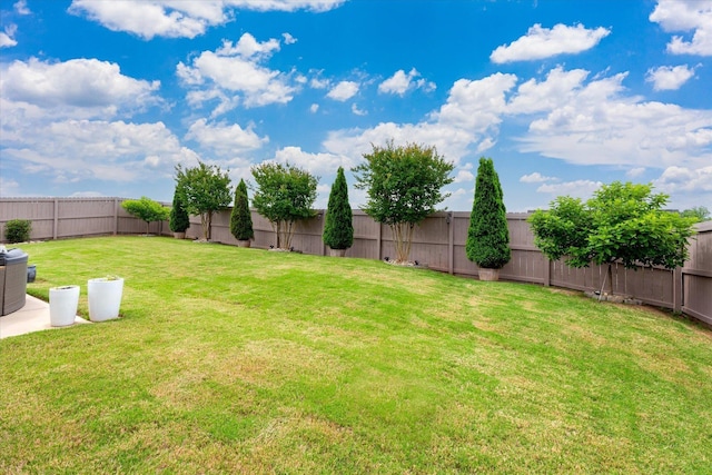 1101 Rosabella, Greer, SC 29651 - view of yard
