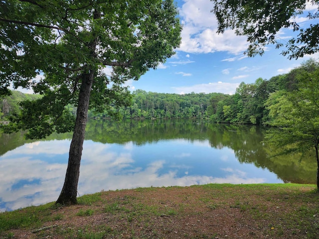 water view featuring a heavily wooded area