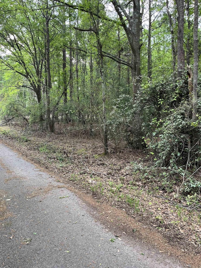 0 Plainview, Spartanburg, SC 29307