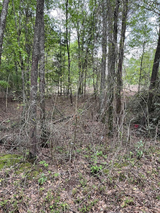 0 Plainview, Spartanburg, SC 29307