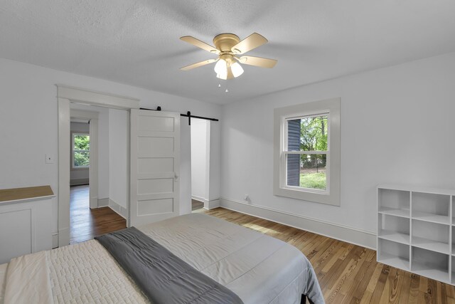 10 Beech, Spartanburg, SC 29303 - bedroom with a barn door, multiple windows, and wood finished floors