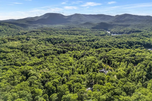 7 Hearthstone, Landrum, SC 29356 - view of mountain backdrop featuring a heavily wooded area