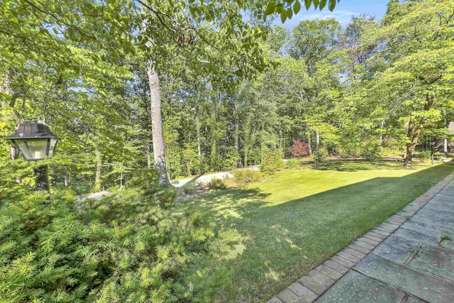 7 Hearthstone, Landrum, SC 29356 - view of green lawn with a forest view