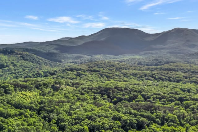 7 Hearthstone, Landrum, SC 29356 - view of mountain background with a forest