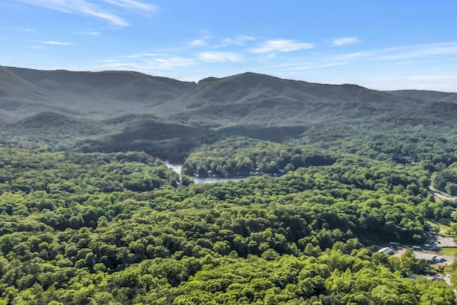 7 Hearthstone, Landrum, SC 29356 - view of mountain background featuring a heavily wooded area