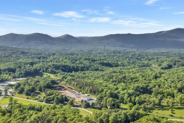 7 Hearthstone, Landrum, SC 29356 - bird's eye view of a forest and a mountainous background