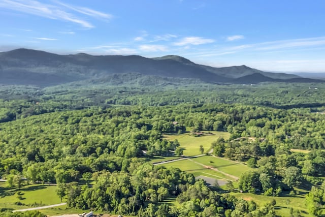 7 Hearthstone, Landrum, SC 29356 - drone / aerial view of a heavily wooded area and mountains
