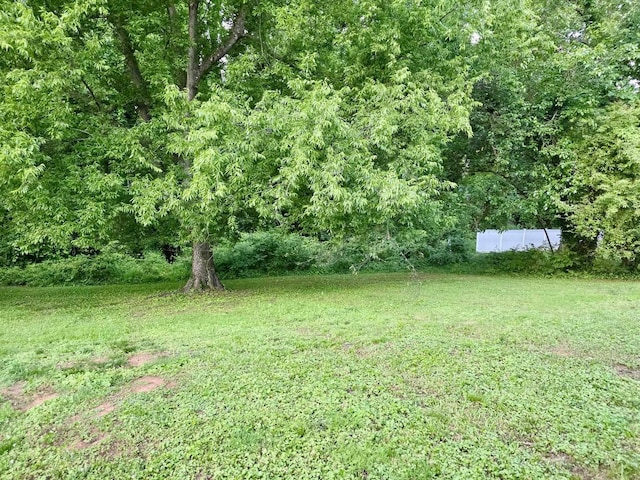 719 Magness Dr, Spartanburg, SC 29303 - view of green lawn