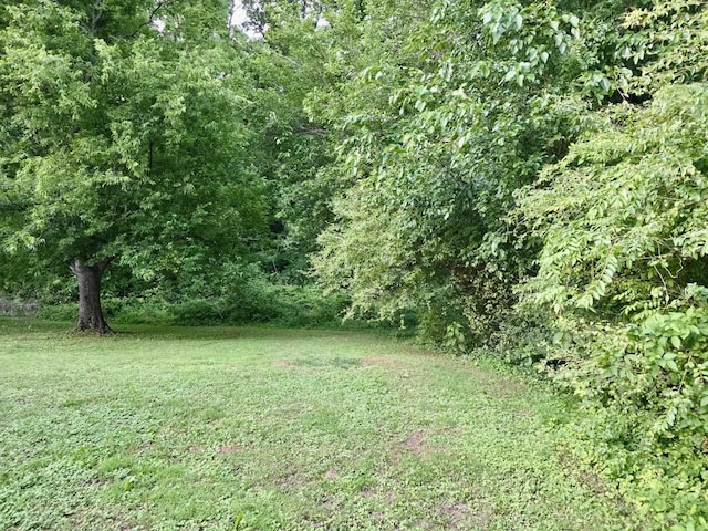 719 Magness Dr, Spartanburg, SC 29303 - view of green lawn featuring a wooded view