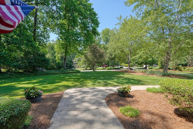201 Woodridge, Spartanburg, SC 29301 - view of home's community with a lawn