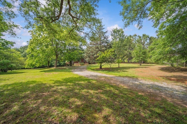 775 Buck Crk, Chesnee, SC 29323 - view of property's community with a lawn