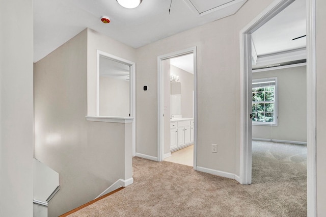 905 Morning Mist, Simpsonville, SC 29680 - corridor featuring light colored carpet, baseboards, and attic access