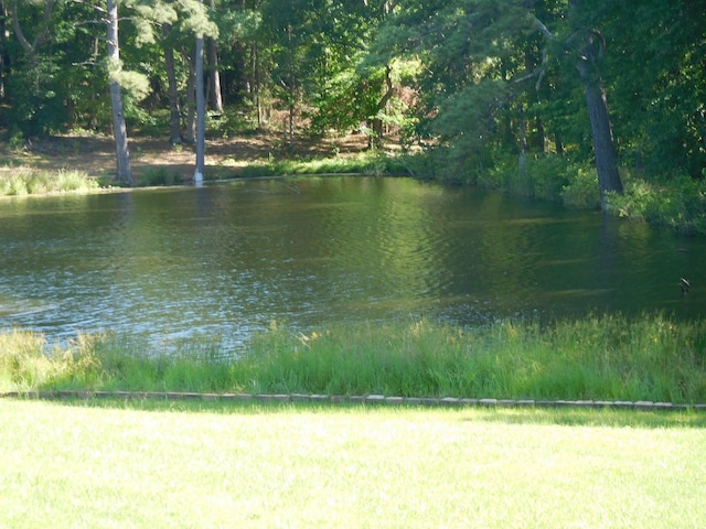 258 Candlewood Ln, Gaffney, SC 29341 - water view