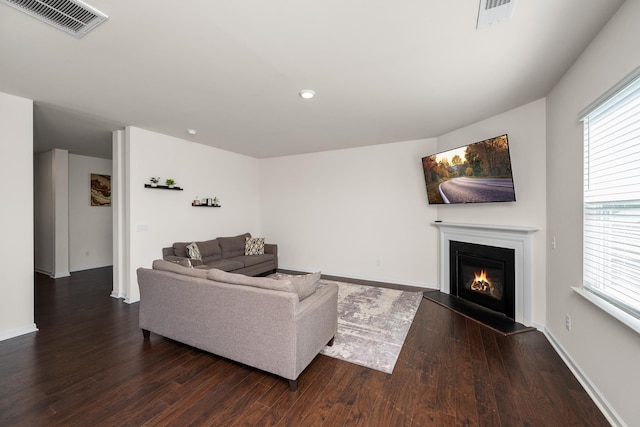 912 Brynderwen, Lyman, SC 29365 - living area with a glass covered fireplace, wood finished floors, baseboards, and recessed lighting