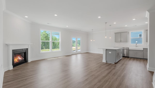 315 Fiery, Mauldin, SC 29607 - unfurnished living room featuring ornamental molding, a sink, a glass covered fireplace, wood finished floors, and baseboards