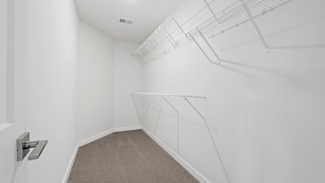 315 Fiery, Mauldin, SC 29607 - walk in closet with carpet floors